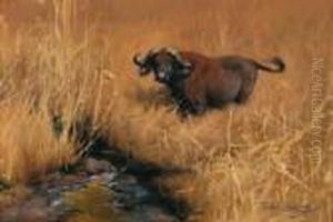 Bufalo Indiano Presso Un Abbeveratoio Nella Savana
