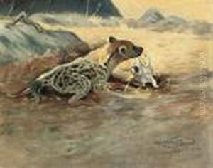 A Hyena On The African Plains