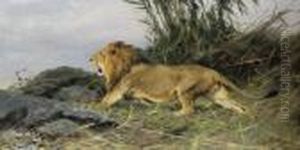 A Lion In Flight by Wilhelm Kuhnert