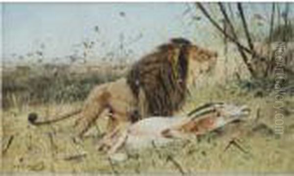 Lion And His Prey - view 1