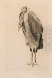 Marabu by Wilhelm Kuhnert