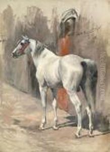 A Grey Arabian Stallion by Wilhelm Kuhnert