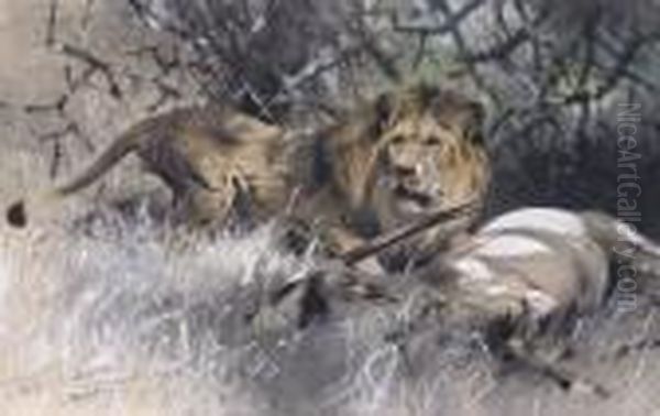 A Lion With An Antelope - view 1