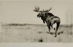 Moose by Wilhelm Kuhnert