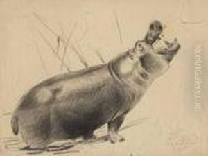 Flusspferd Mit Offenem Maul by Wilhelm Kuhnert