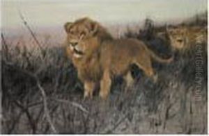 Lowen In Verbrannter Steppe (lions In A Burnt Steppe)