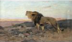 Brullender Lowe In Steiniger Steppe (a Roaring Lion) by Wilhelm Kuhnert