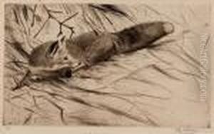 Lauernder Fuchs