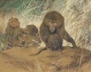 Three Baboons Seated On A Rock by Wilhelm Kuhnert
