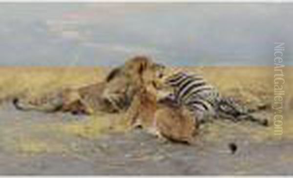 The Victim: Lions And Zebra - view 1