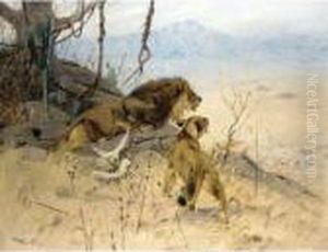 Lowe Und Lowin Erspahen Eine Zebraherde (lion And Lioness Stalking A Zebra Herd)