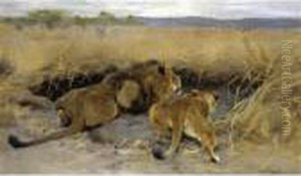 Beute In Sicht (prey In Sight) - view 1