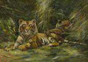 Zwei Tiger Im Gras.