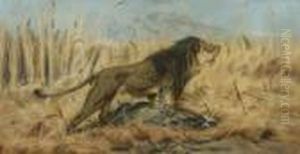 Lowe Mit Erbeuteter
Gazelle. by Wilhelm Kuhnert