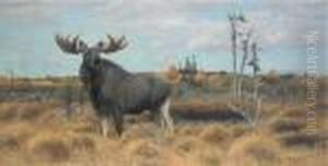 Elks In A Swedish Landscape by Wilhelm Kuhnert