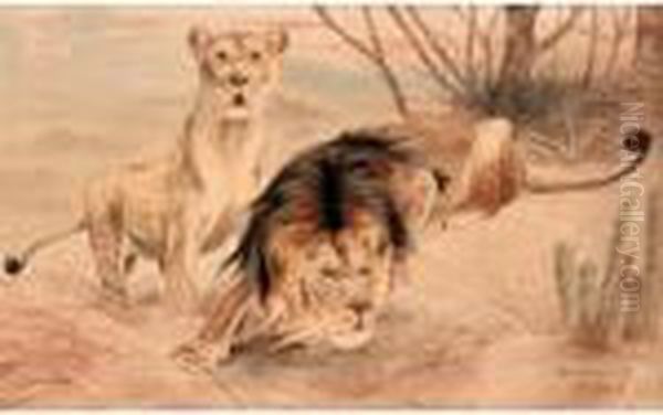 Lions On The Hunt - view 1