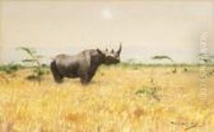 Nashorn In Der Steppe. Nashorn In Der Steppe.
