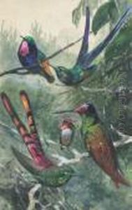 Wildlife And Ornithological Studies (one Illustrated) by Wilhelm Kuhnert