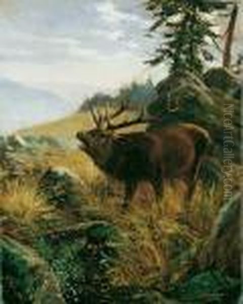 Mittelgebirgslandschaft Mit 
Rohrendem Hirsch. Signiert Unten Rechts: W. Kuhnert. Ol Auf Leinwand 
(doubliert). H 50; B 40 Cm. - view 1