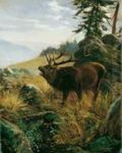 Mittelgebirgslandschaft Mit 
Rohrendem Hirsch. Signiert Unten Rechts: W. Kuhnert. Ol Auf Leinwand 
(doubliert). H 50; B 40 Cm. by Wilhelm Kuhnert