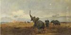Morning: Elephants On The Savannah by Wilhelm Kuhnert