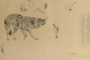 A Wolf - A Study by Wilhelm Kuhnert
