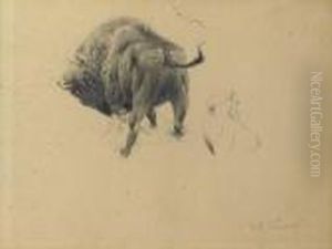 A Wisent - A Study by Wilhelm Kuhnert