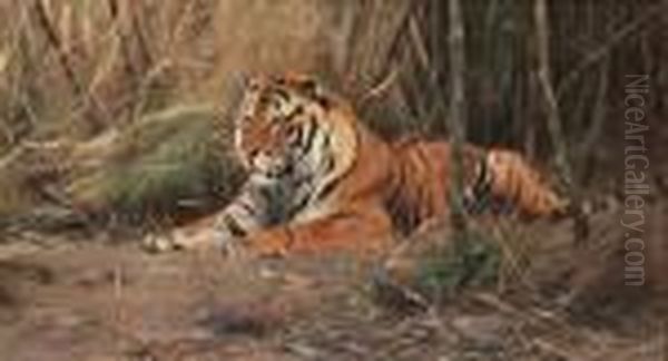 The Watchful Tiger - view 1