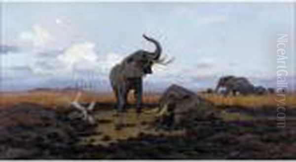 In The Twilgiht, Elephants - view 1
