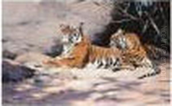 Ruhende Tiger (two Lounging Tigers) - view 1