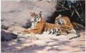 Ruhende Tiger (two Lounging Tigers) by Wilhelm Kuhnert