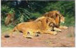 Ruhende Lowen (lions At Rest) by Wilhelm Kuhnert