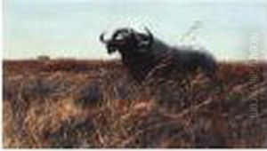 Kafferbuffel Sichernd (buffalo On The Alert) by Wilhelm Kuhnert
