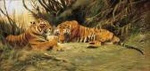 Tigers Resting In Tall Grass
