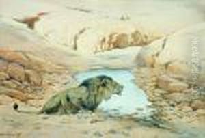 Lion At Waterhole by Wilhelm Kuhnert