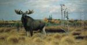 Elk In Marsh Landscape by Wilhelm Kuhnert