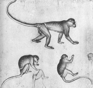 Apes (from the artist's sketchbook) c. 1430 by Antonio Pisano (Pisanello)