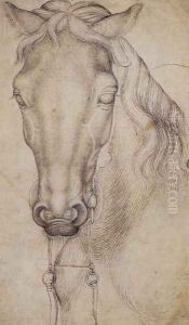 Study of the Head of a Horse 1437-38 by Antonio Pisano (Pisanello)
