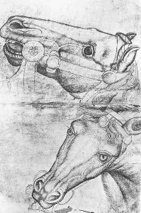 Study of Horse Heads 1433-38 by Antonio Pisano (Pisanello)