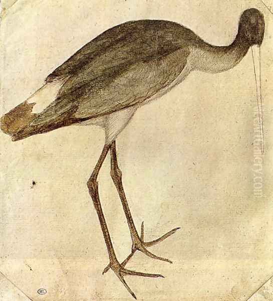 Stork 1430s - view 1