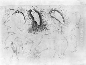 Fourteen egrets, from the The Vallardi Album by Antonio Pisano (Pisanello)