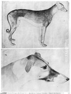 Greyhound and head of a greyhound, from the The Vallardi Album by Antonio Pisano (Pisanello)