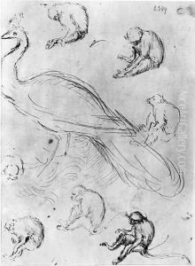 Peacock and Six Monkeys, from The Vallardi Album by Antonio Pisano (Pisanello)
