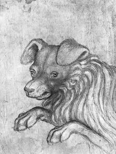 Head of a dog, from the The Vallardi Album by Antonio Pisano (Pisanello)
