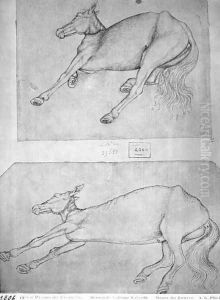 Dead horses, from the The Vallardi Album by Antonio Pisano (Pisanello)