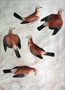 Five Jays, from the Vallardi Album by Antonio Pisano (Pisanello)