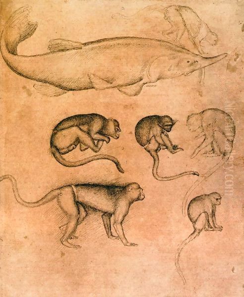 Six Monkeys and a Sturgeon, from The Vallardi Album - view 1