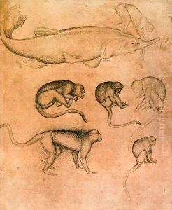 Six Monkeys and a Sturgeon, from The Vallardi Album by Antonio Pisano (Pisanello)