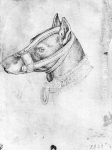 Head of a muzzled dog, from the The Vallardi Album