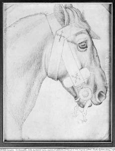 Head of a horse, from the The Vallardi Album 3
